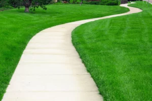 long and winding concrete sidewalk in fayetteville nc